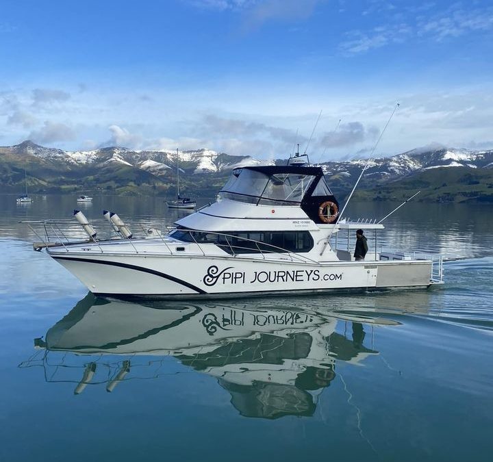 Pipi Journeys Harbour Cruise and Fishing Charter
