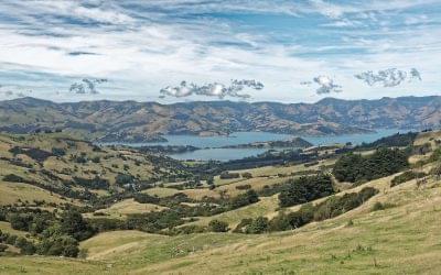 Bumper winter forecast for Akaroa after tourism takes Covid-19 battering