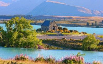 Future of tourism industry