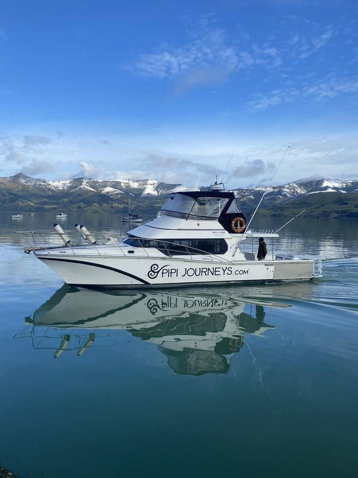 Pipi Journeys Akaroa New Zealand