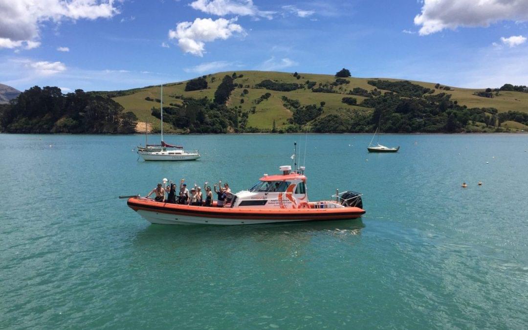 Ecoseaker Dolphin Swimming & Harbour Adventure Cruises